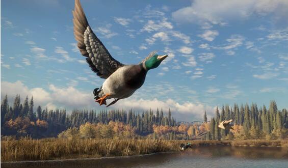 QQ截图20211126094002