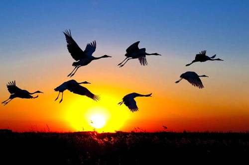 u=3906114755,1037729275&fm=26&gp=0