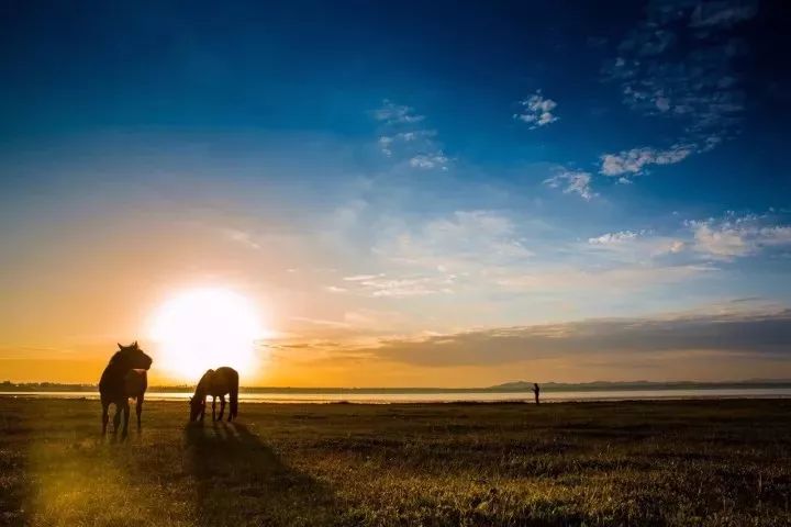 Rc3fc0dd9a5f9a4a67a1a4cc3d1336f35