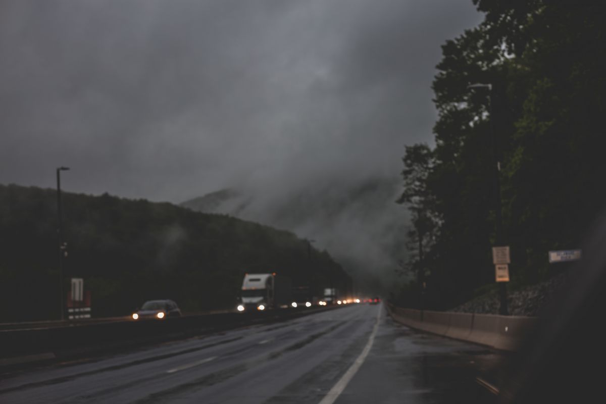 pexels-craig-adderley-1529754