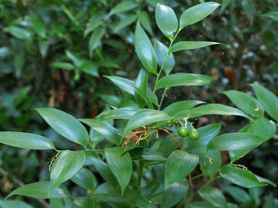 R156cb815110d04066be734a1ea1ff242