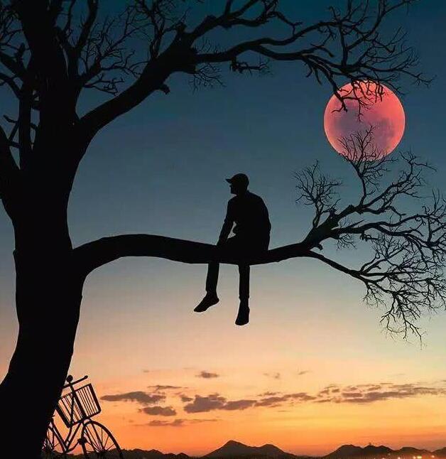 QQ截图20210511092149