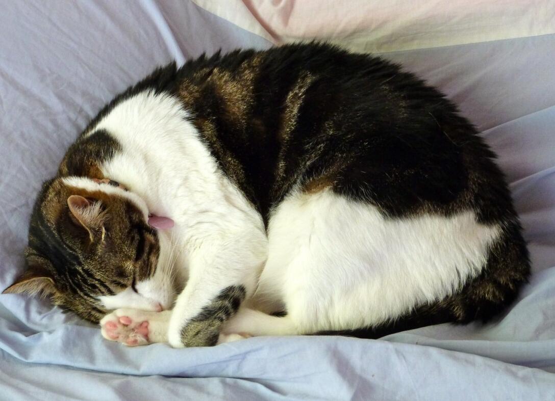 QQ截图20210530143513