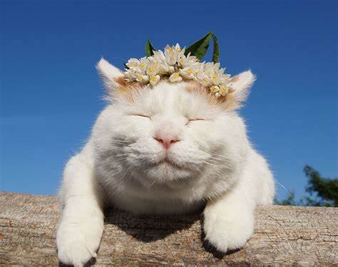 女朋友的性格好像变得温柔了2