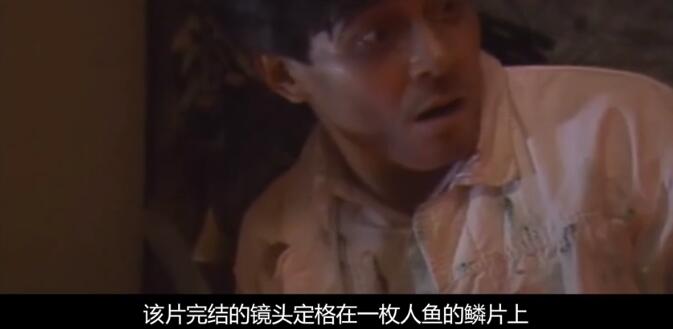 下水道的美人鱼:抖音来的这里集合2