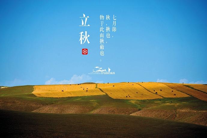 立秋了,果然天气都没有那么热了