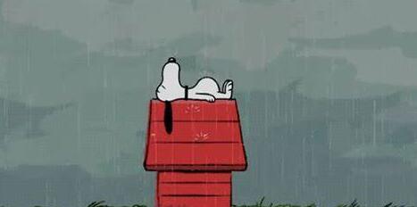 QQ截图20210826091913