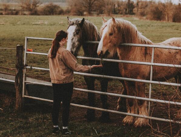 QQ截图20210912085523