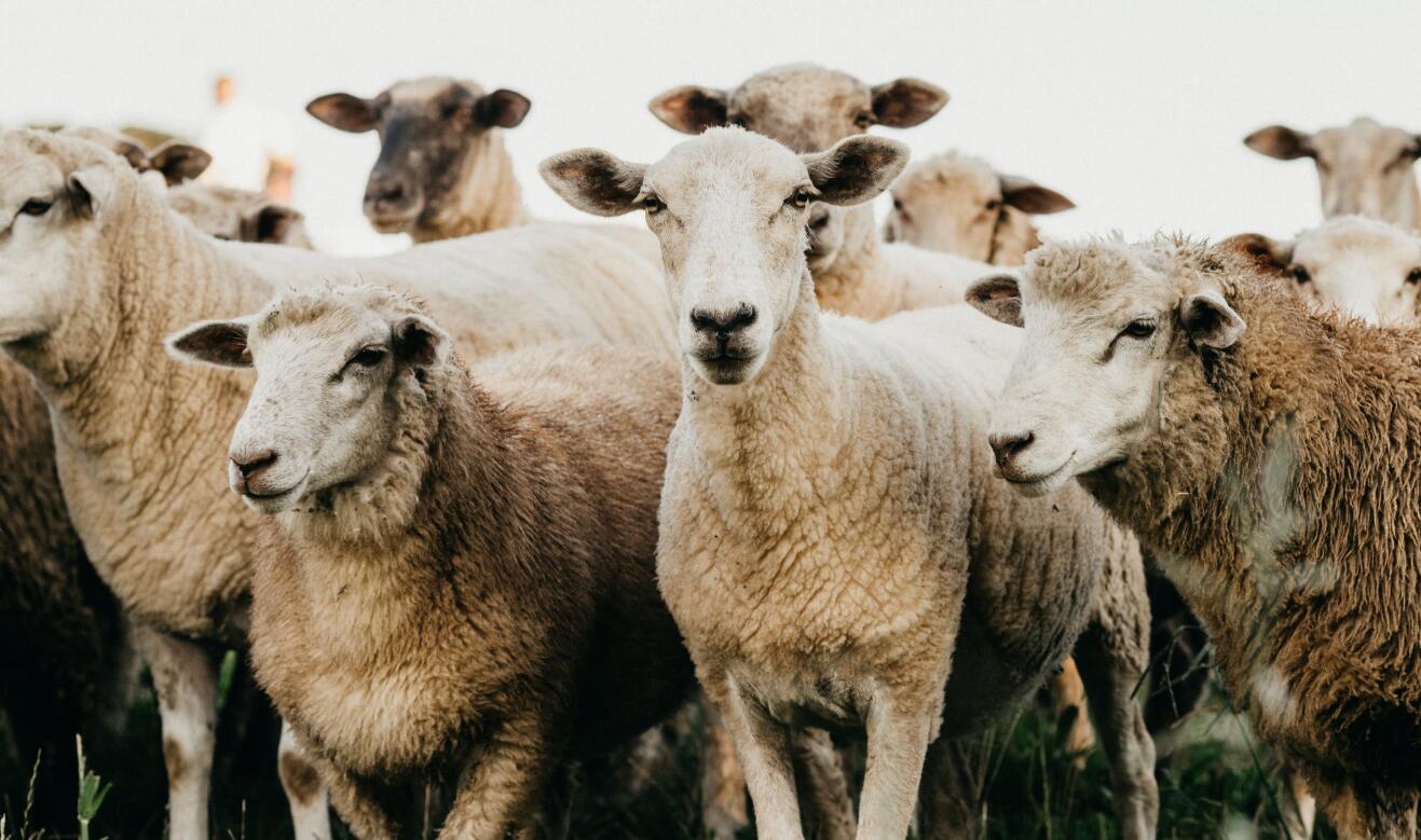 QQ截图20210912090249