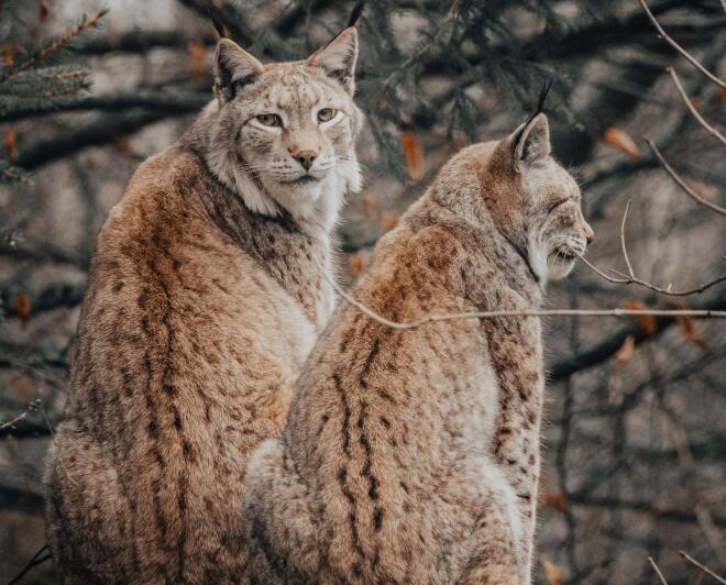 QQ截图20210913110334