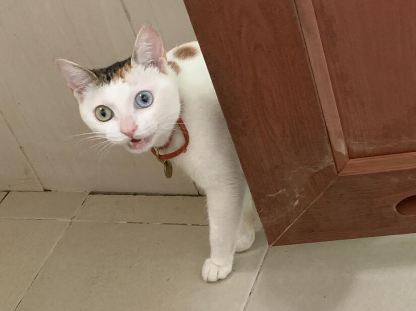 QQ截图20210915073211