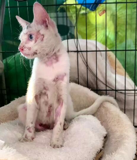 QQ截图20210915111130