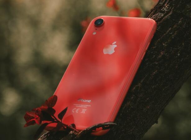 QQ截图20210919080052