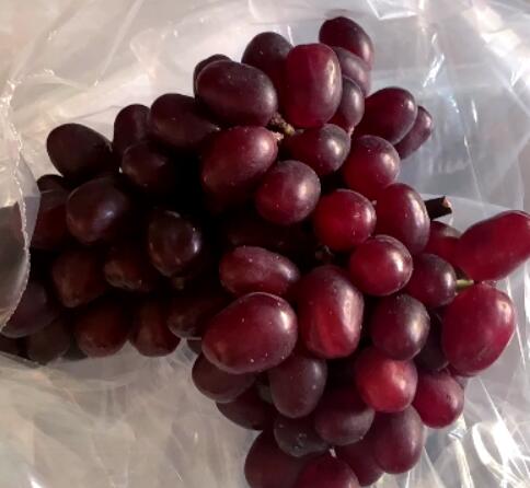 QQ截图20210920102907