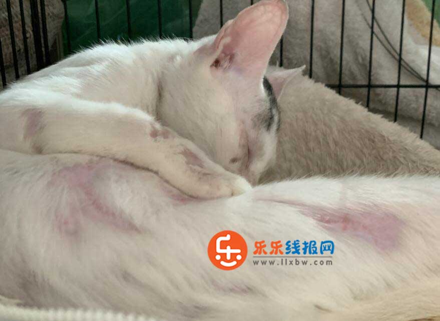 QQ截图20210922084640