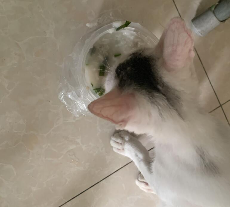 QQ截图20210927082907