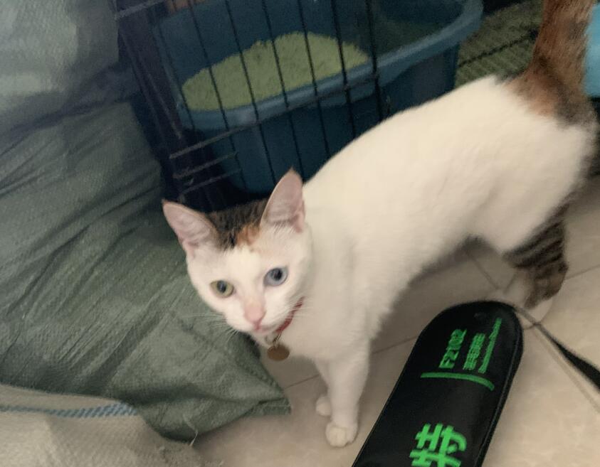 QQ截图20210927083037