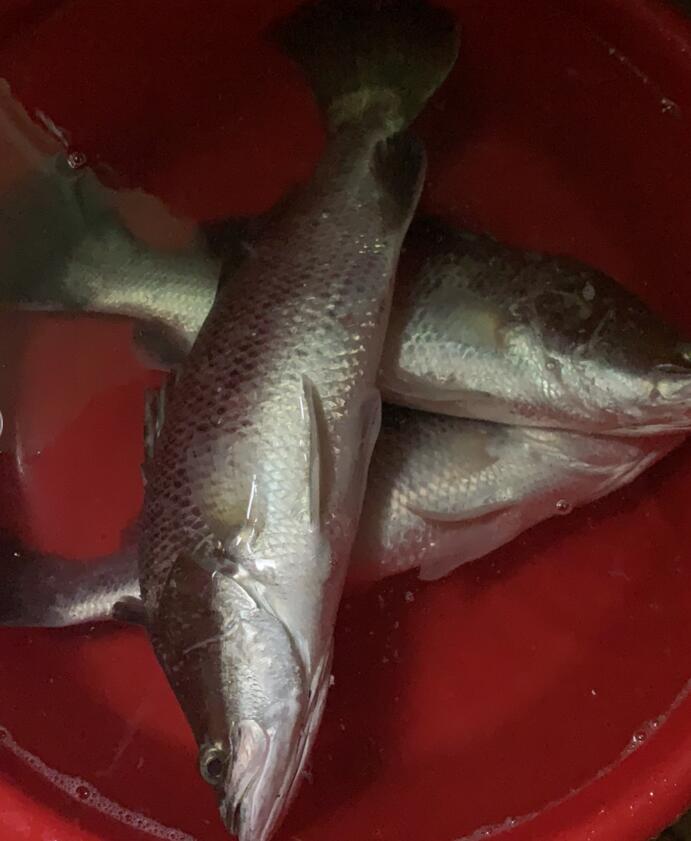 QQ截图20211002091428