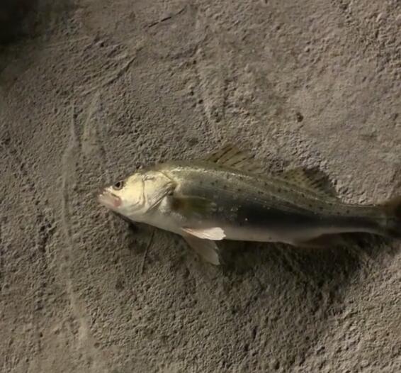 QQ截图20211003094521