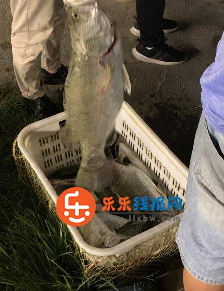 QQ截图20211008094512