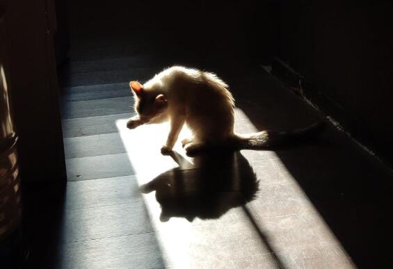 QQ截图20211009101747