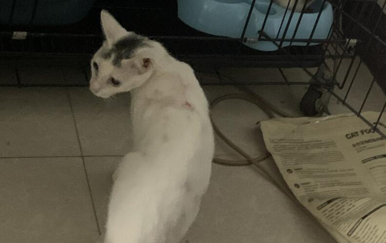 QQ截图20211009174147