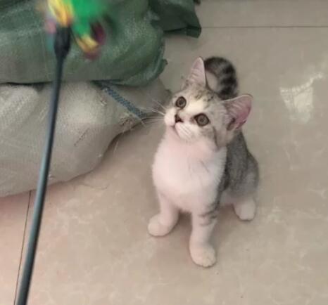 QQ截图20211013070254