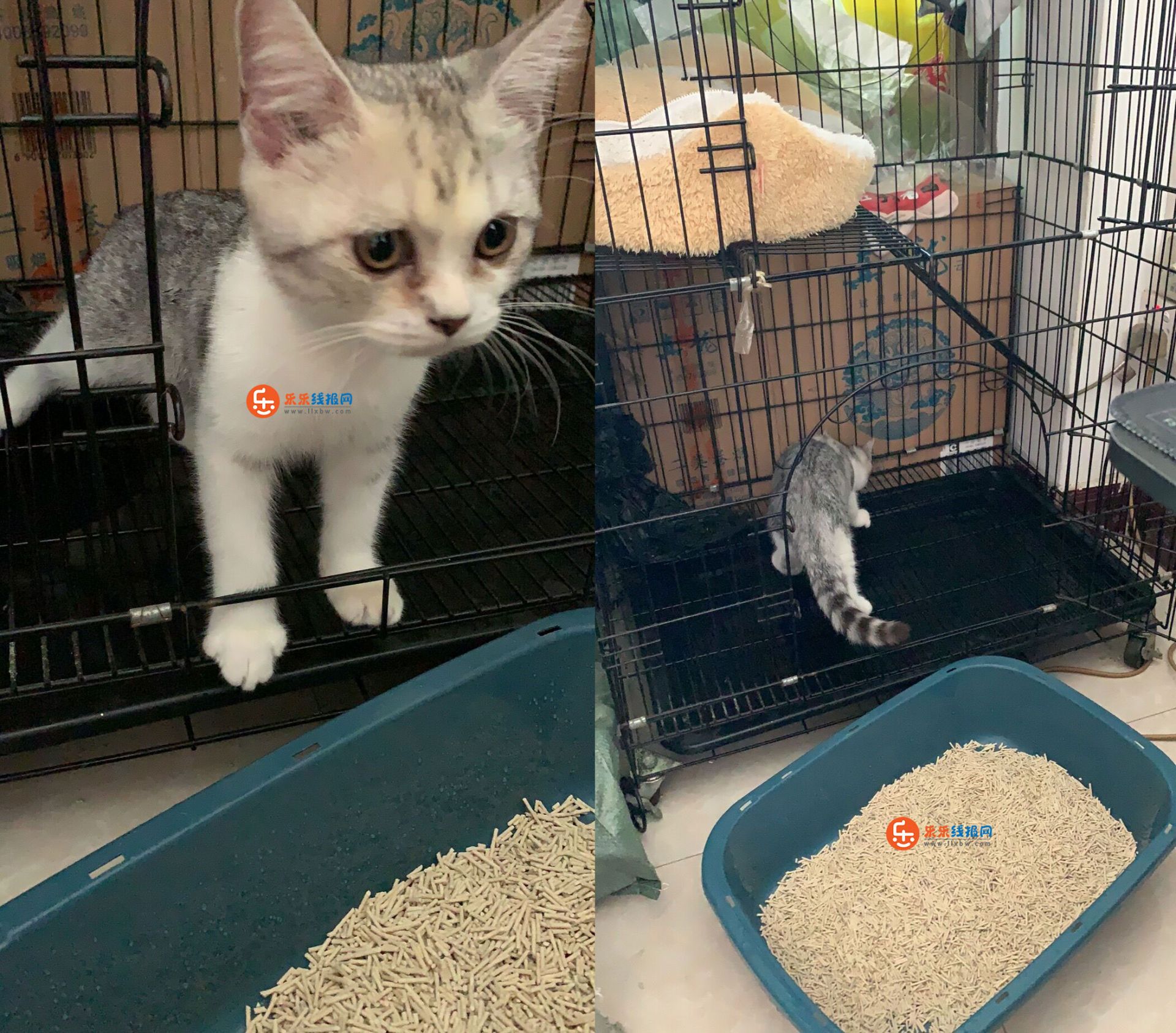 QQ图片20211013070757