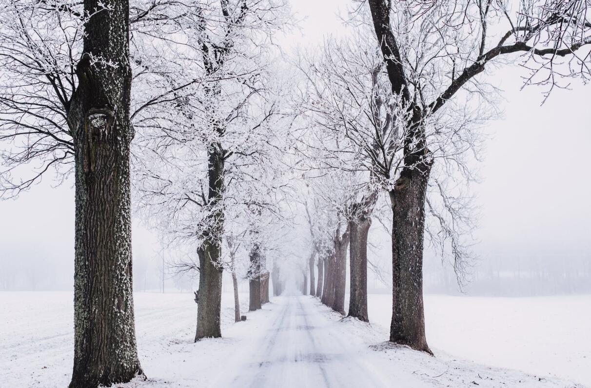 QQ截图20211013095923