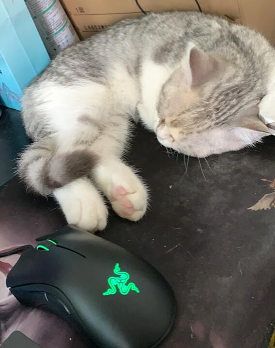 QQ截图20211018095655