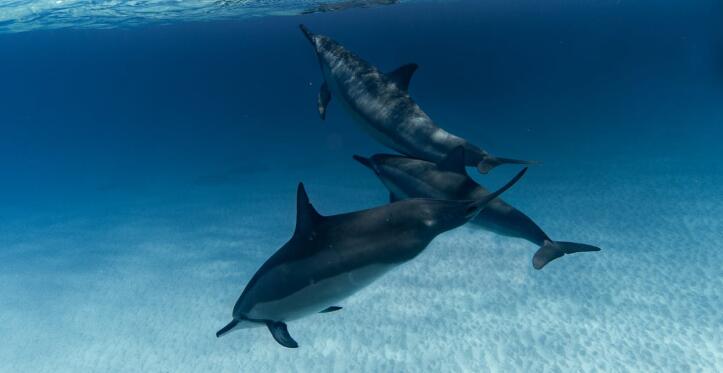 QQ截图20211030114542