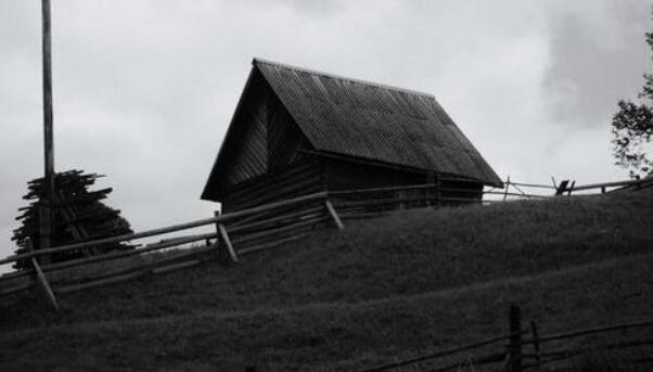 QQ截图20211101075616