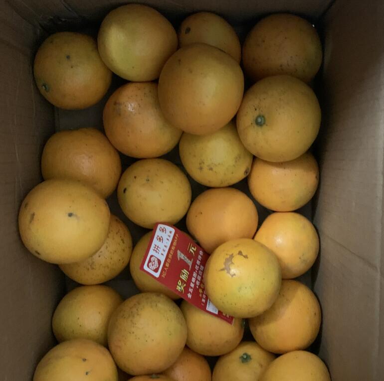 QQ截图20211112100816