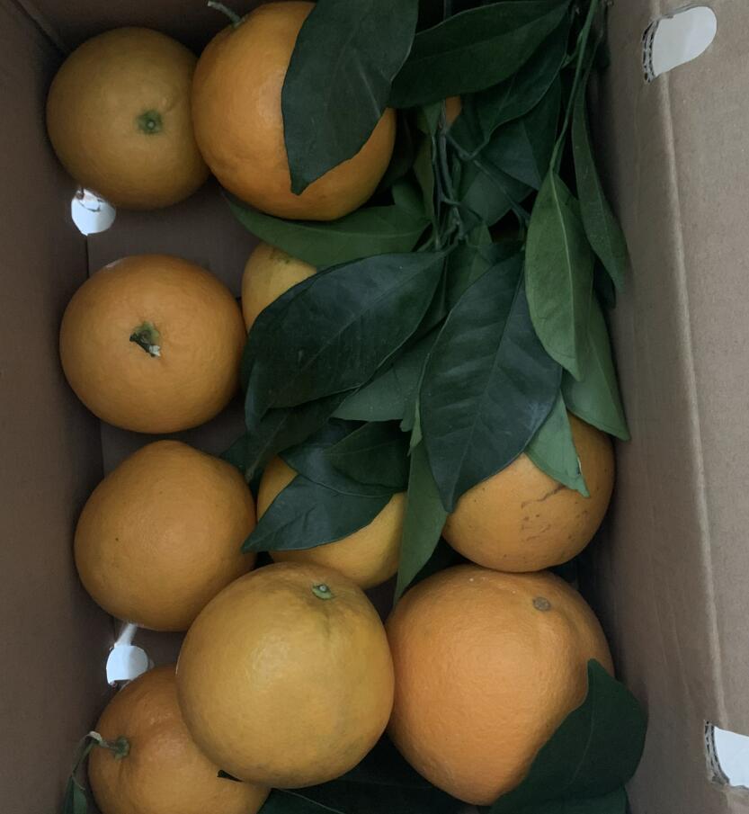 QQ截图20211112100832