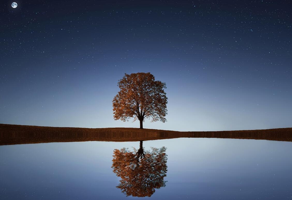 QQ截图20211115100339