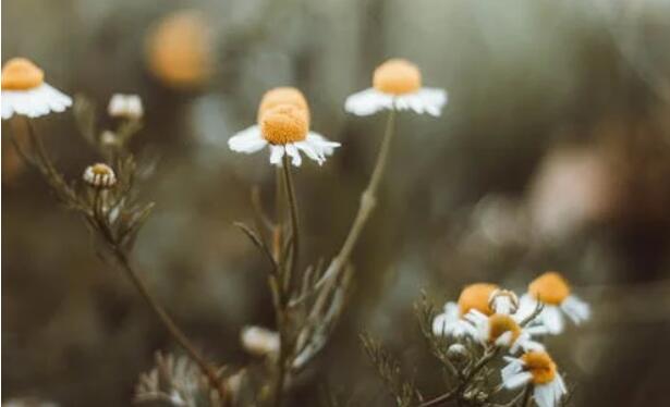 QQ截图20211115151056