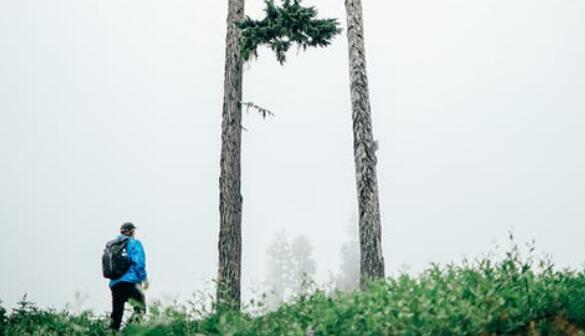 QQ截图20211115151128