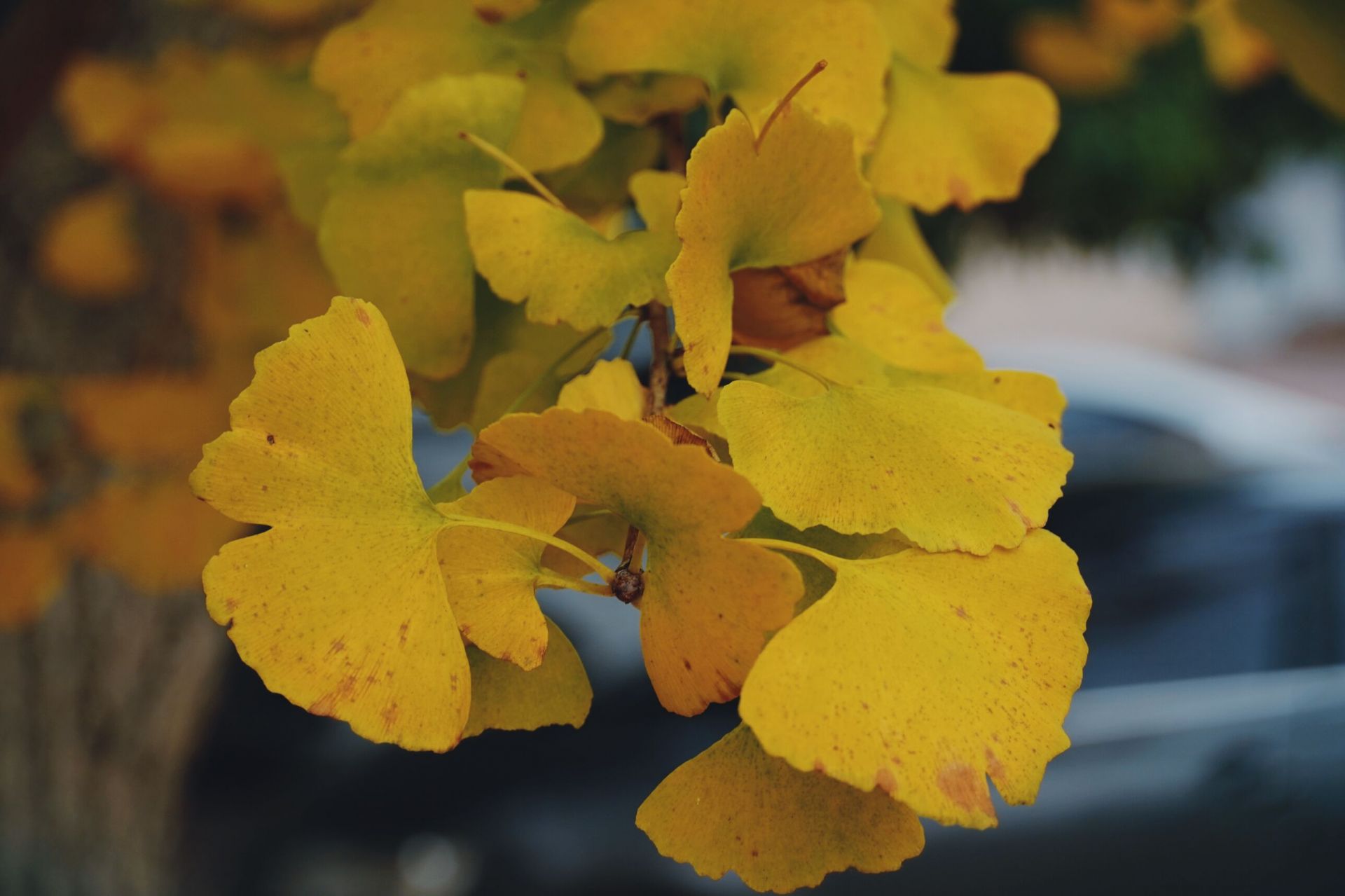 QQ图片20211126080614