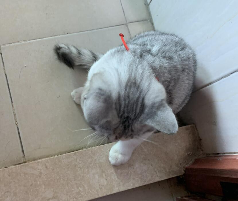 QQ截图20211201095322