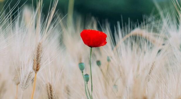 QQ截图20211205141018