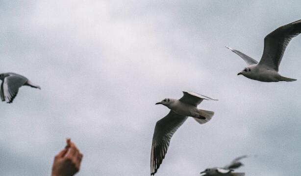 QQ截图20211205143846