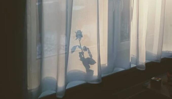 QQ截图20211206090232