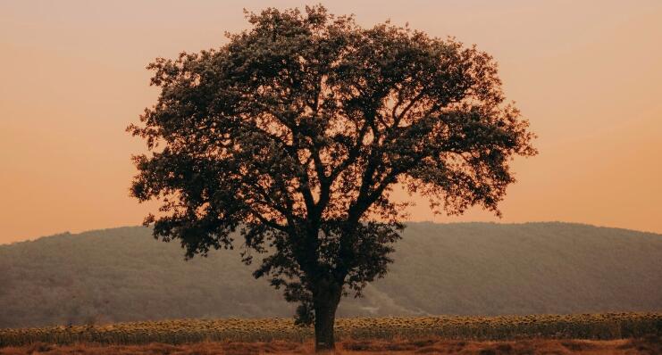 QQ截图20211207084953