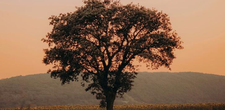 QQ截图20211212153137