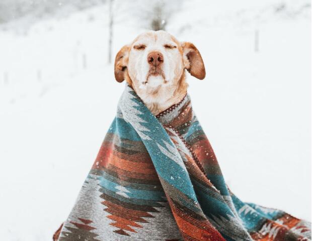 你们那儿下雪了吗？感觉还不是很冷