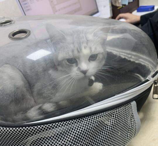 QQ截图20220122150546