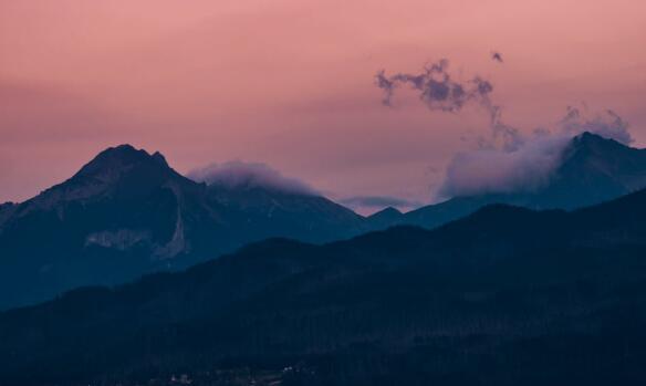 QQ截图20220129100639