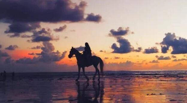 QQ截图20220202103744