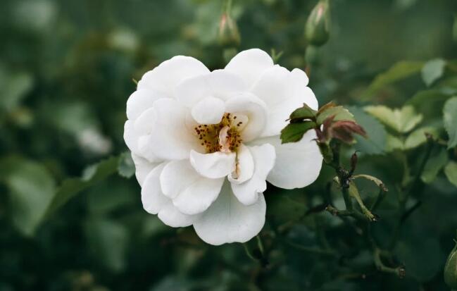 QQ截图20220208120231