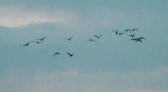 QQ截图20220208151424